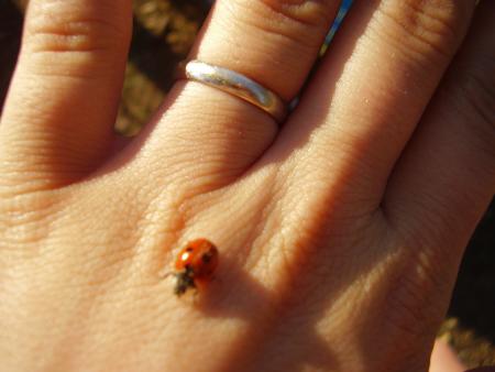 Bague de Fiancail